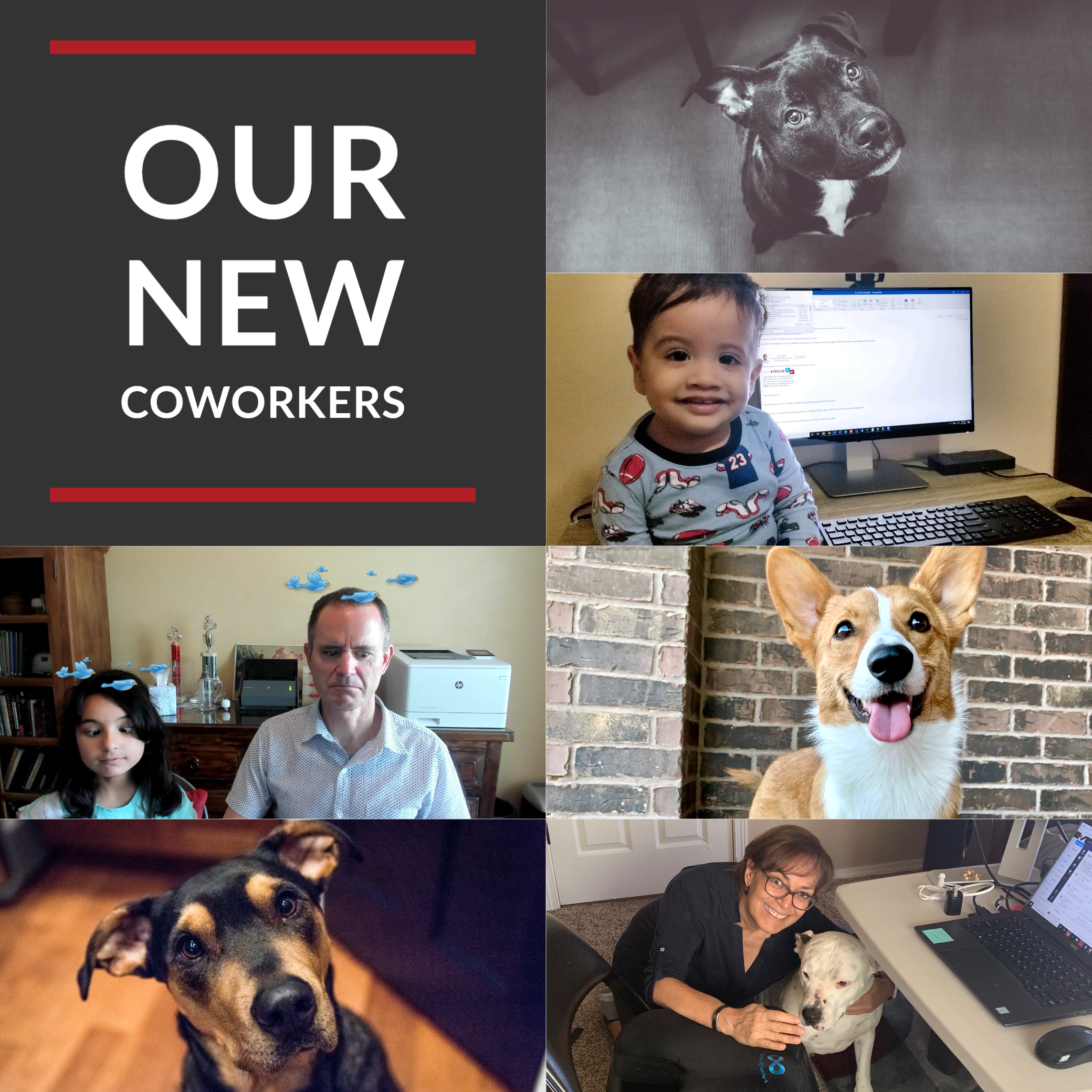 Our New Cowokers - Varay Managed IT
