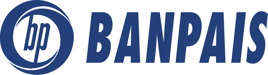 Solicita Banpais X internet