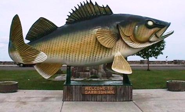 Garrison walleye