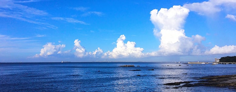 Storms a Brewing: Towering Cumulus Clouds