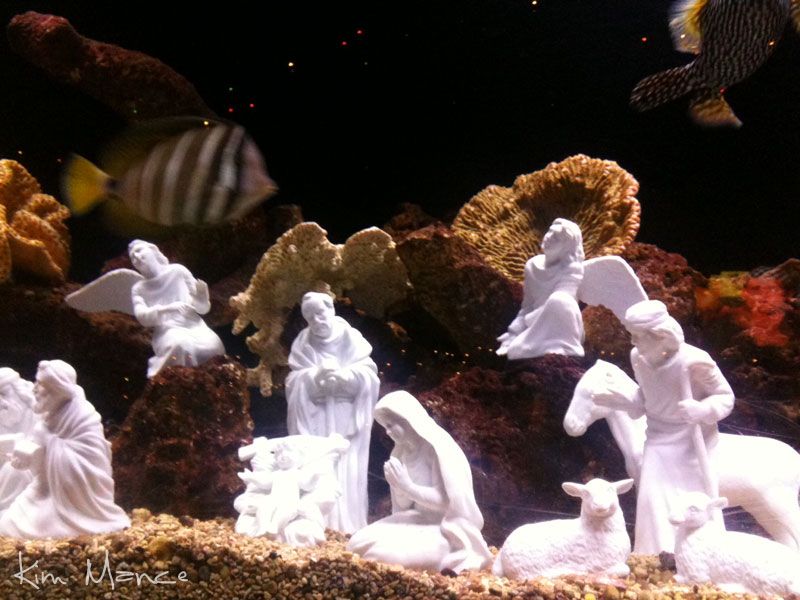 Underwater Nativity 2