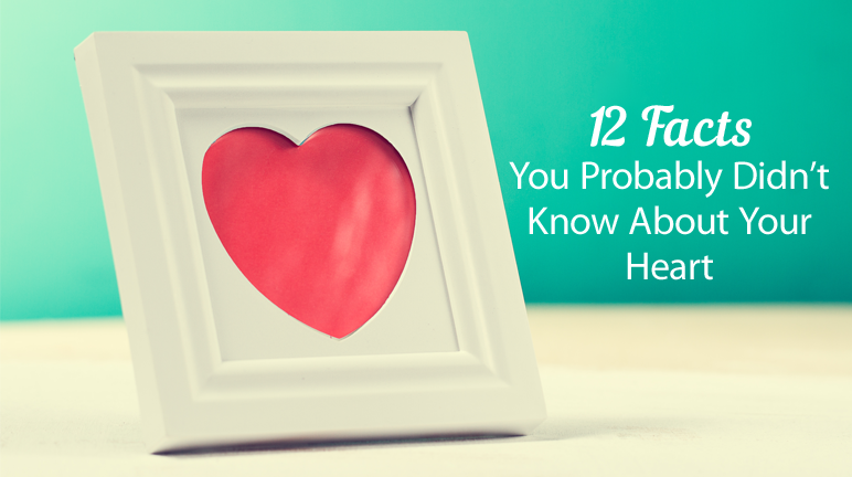 10 Interesting Facts About the Heart You May Not Know