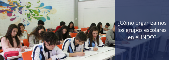 ¿Cómo organizamos los grupos escolares en el Indoamericano?