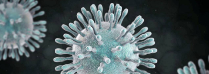 ¿Qué es el Coronavirus y qué acciones tomará el INDO?