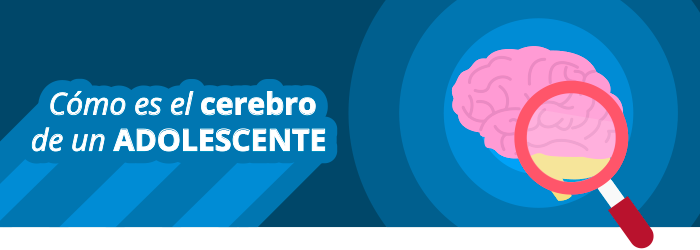 Cómo es el cerebro de un adolescente (Parte 1)
