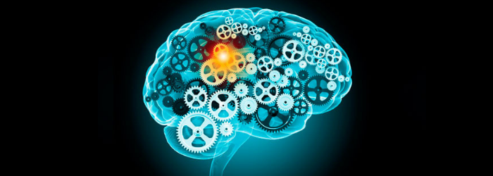 5 secretos para mejorar la eficiencia cerebral