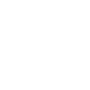 Key icon