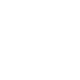 Police Badge icon