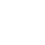 Key icon