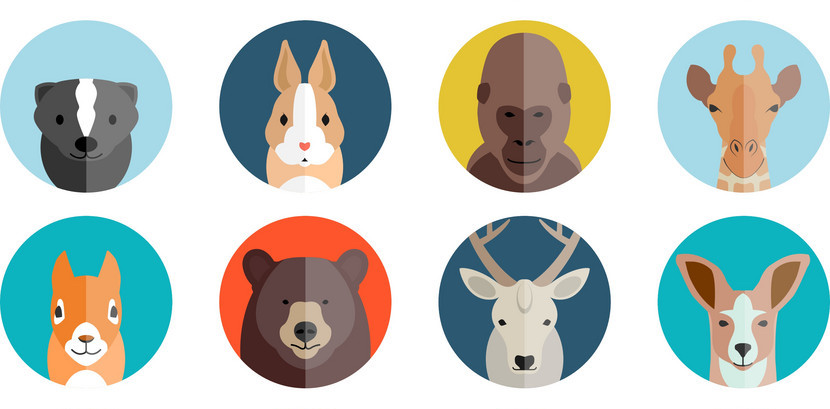 data room MnA projects deal names