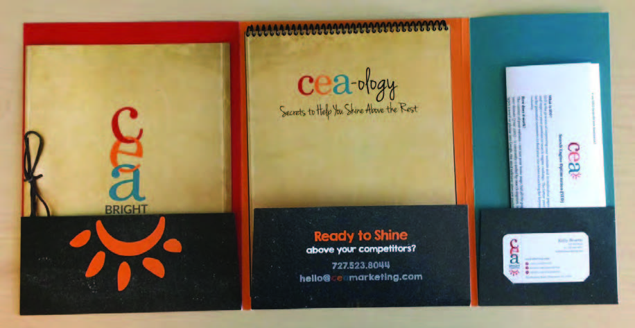 2015 CEA Brochure