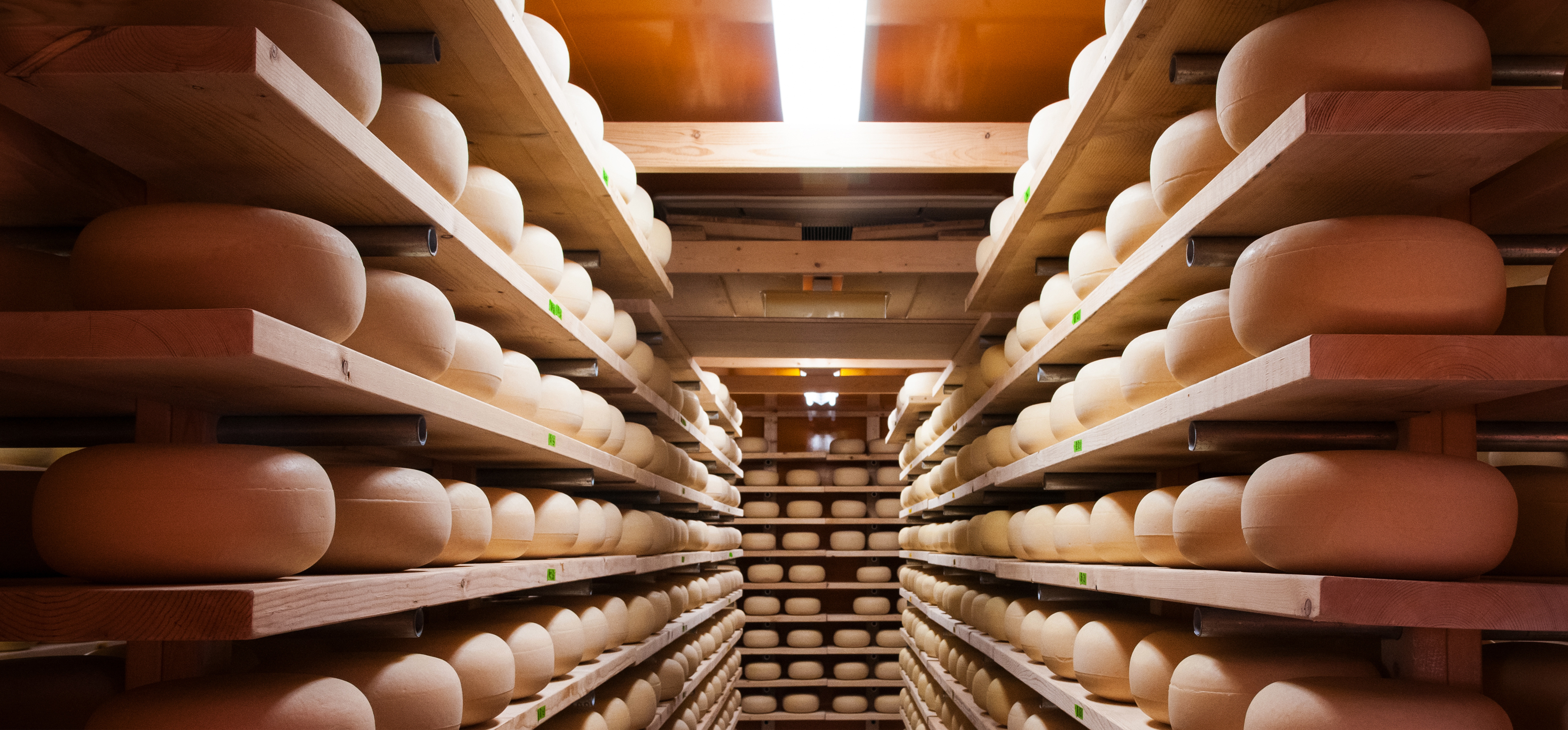 Keys to Operating a Perishable Food Manufacturer | inecta
