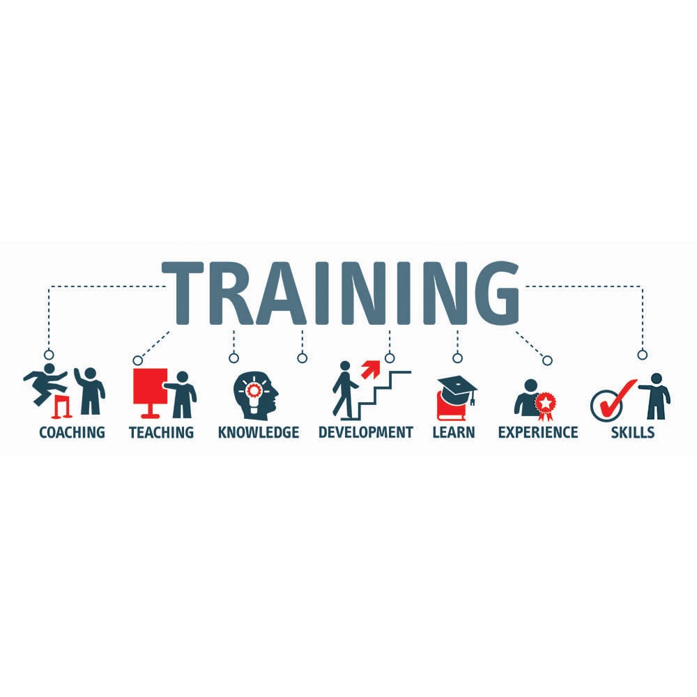 Post ERP Go live training: 6 steps to take | inecta