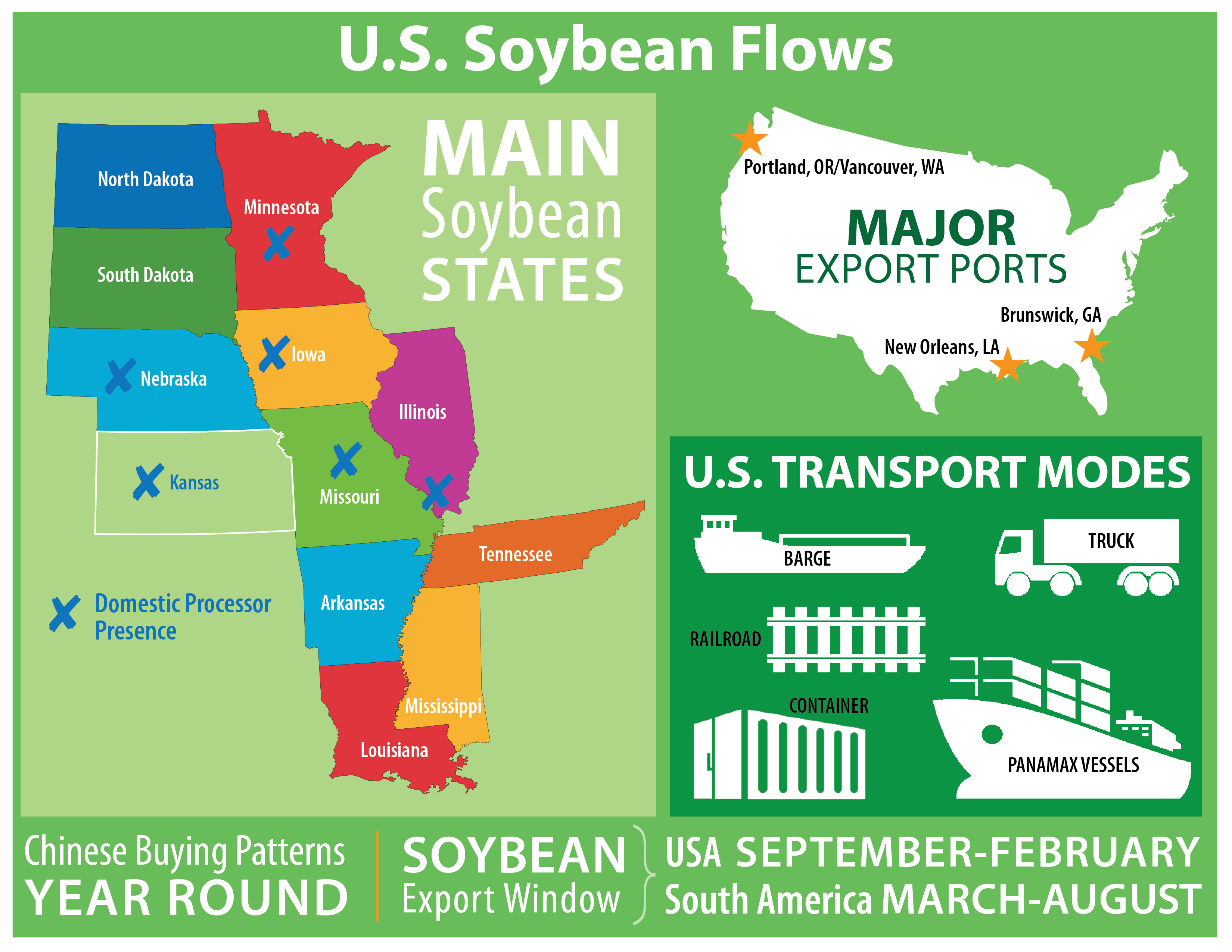 Soybean Infographic