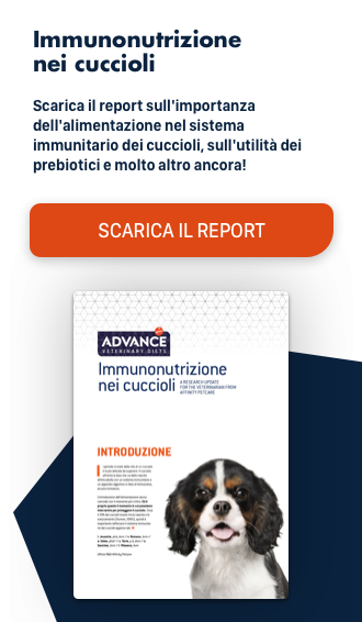 Linfoma Cane Predittori Di Sopravvivenza A Lungo Termine