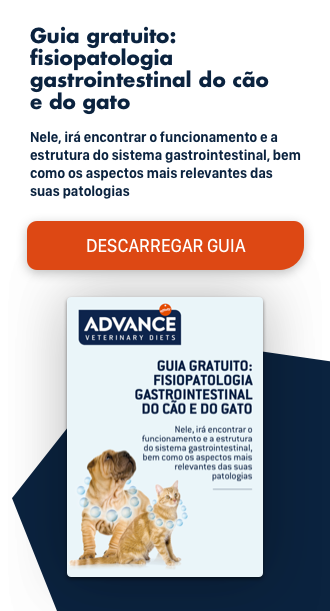 Remedio natural para convulsão em cachorro Clearance