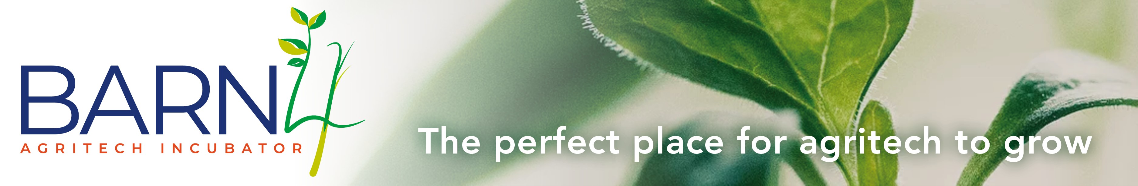 Email banner B4