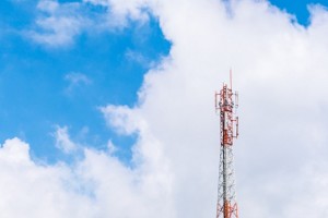 Роскомнадзор оценил качество услуг операторов мобильной связи в Ленинградской области