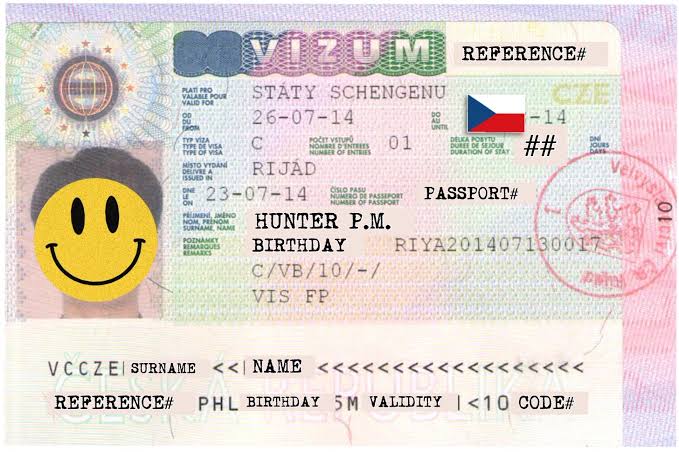 Двое россиян 5 лет контролировали выдачу чешских виз гражданам Вьетнама