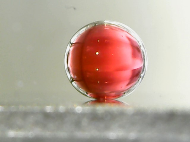 LotusFlo