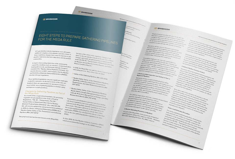 Download the White Paper