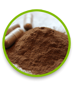 Shilajit
