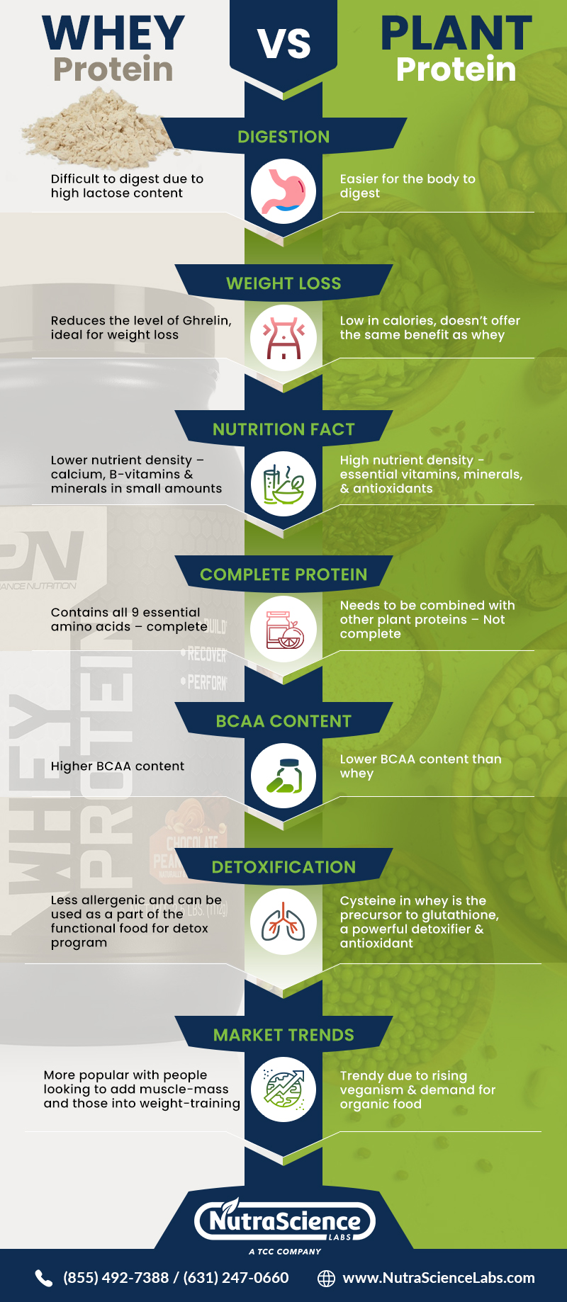 Plant Protein vs. Animal Protein - Which Is Better for Muscle Gain?