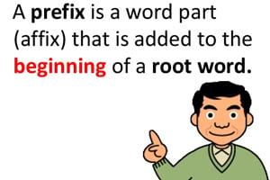 what-is-a-prefix-medical-terminology
