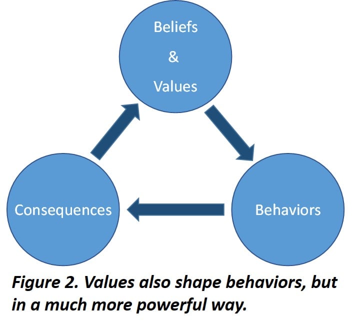 Values yes values. Values and beliefs. Типы beliefs. Culture and values. Компания belief.