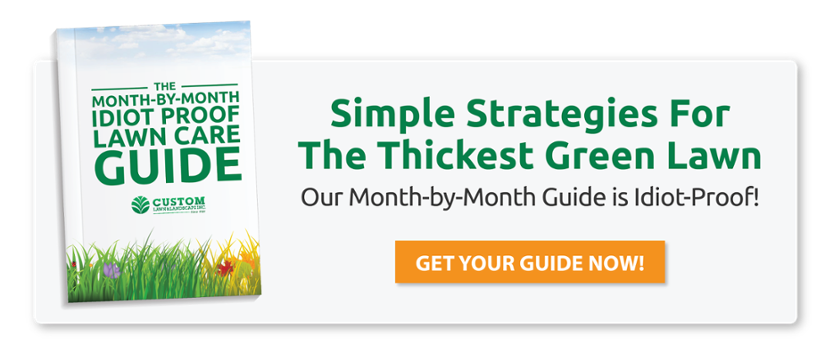 Free-Month-by-Month-Lawn-Care-Guide