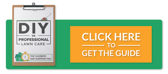 diy-vs-pro-lawn-care-guide-TYP-CTA-to-PDF