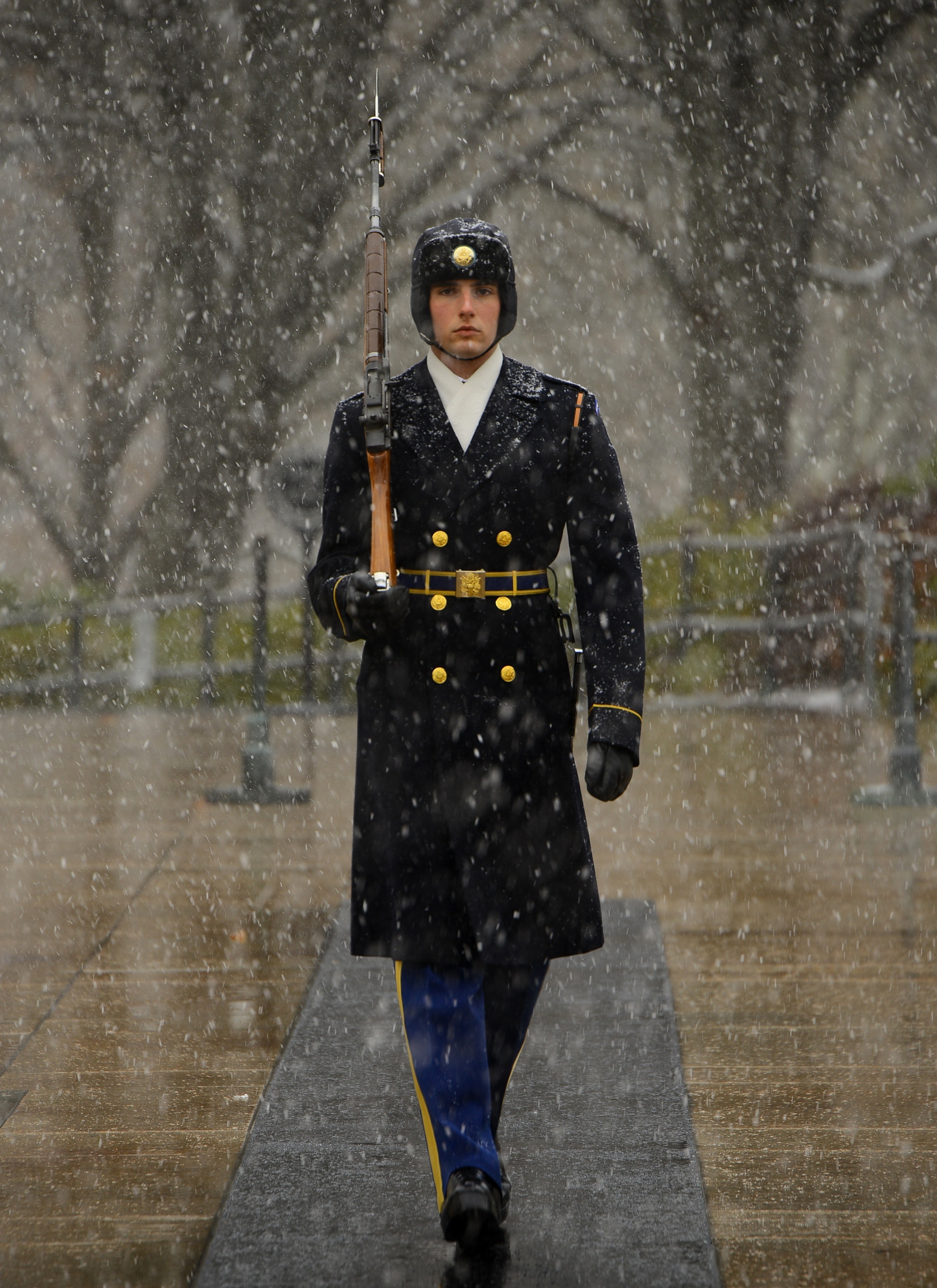 sentinel-tomb-of-unknown-soldier-guard-government-photo-54190.jpg