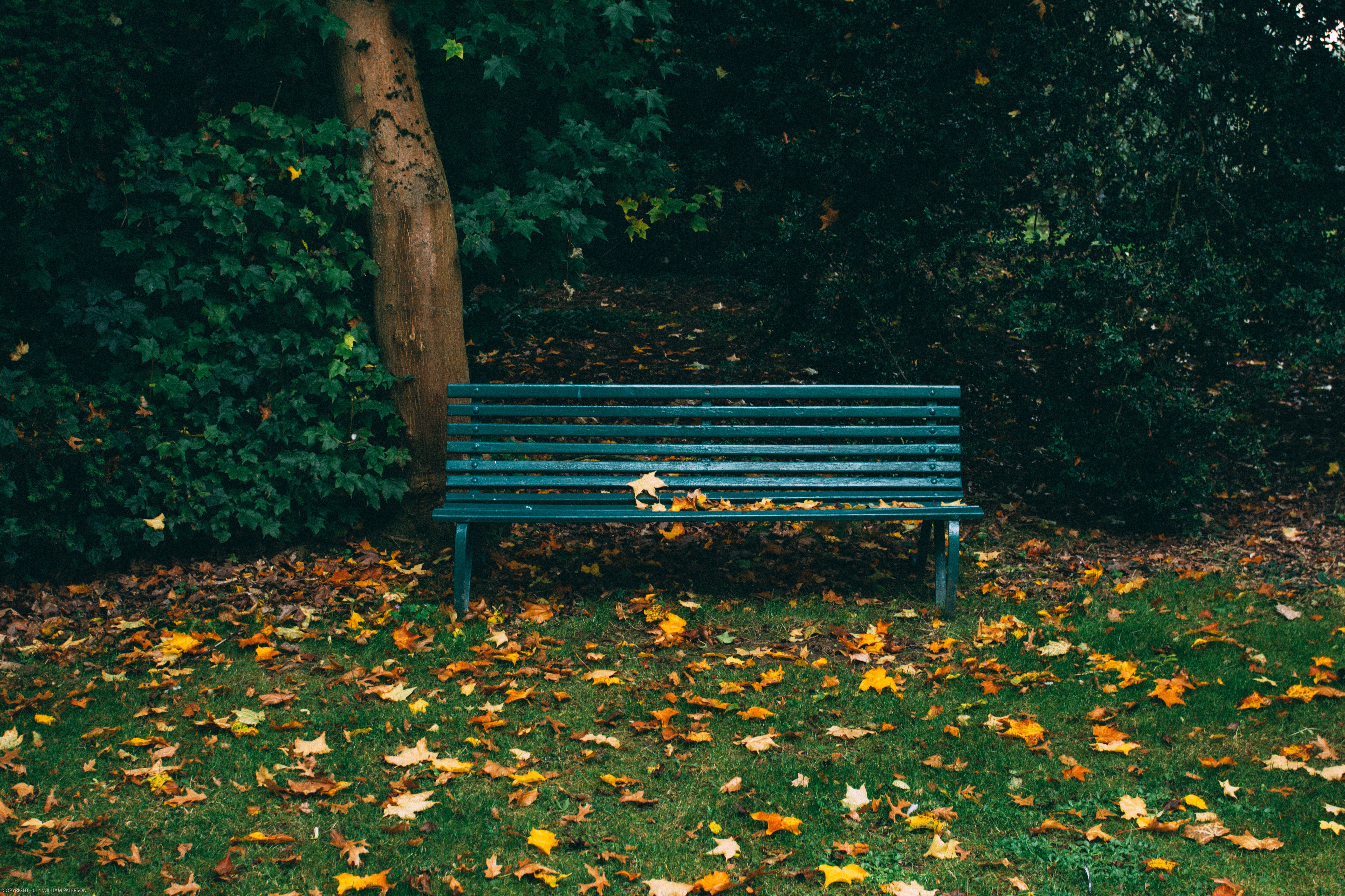 try working remotely on a bench in the park