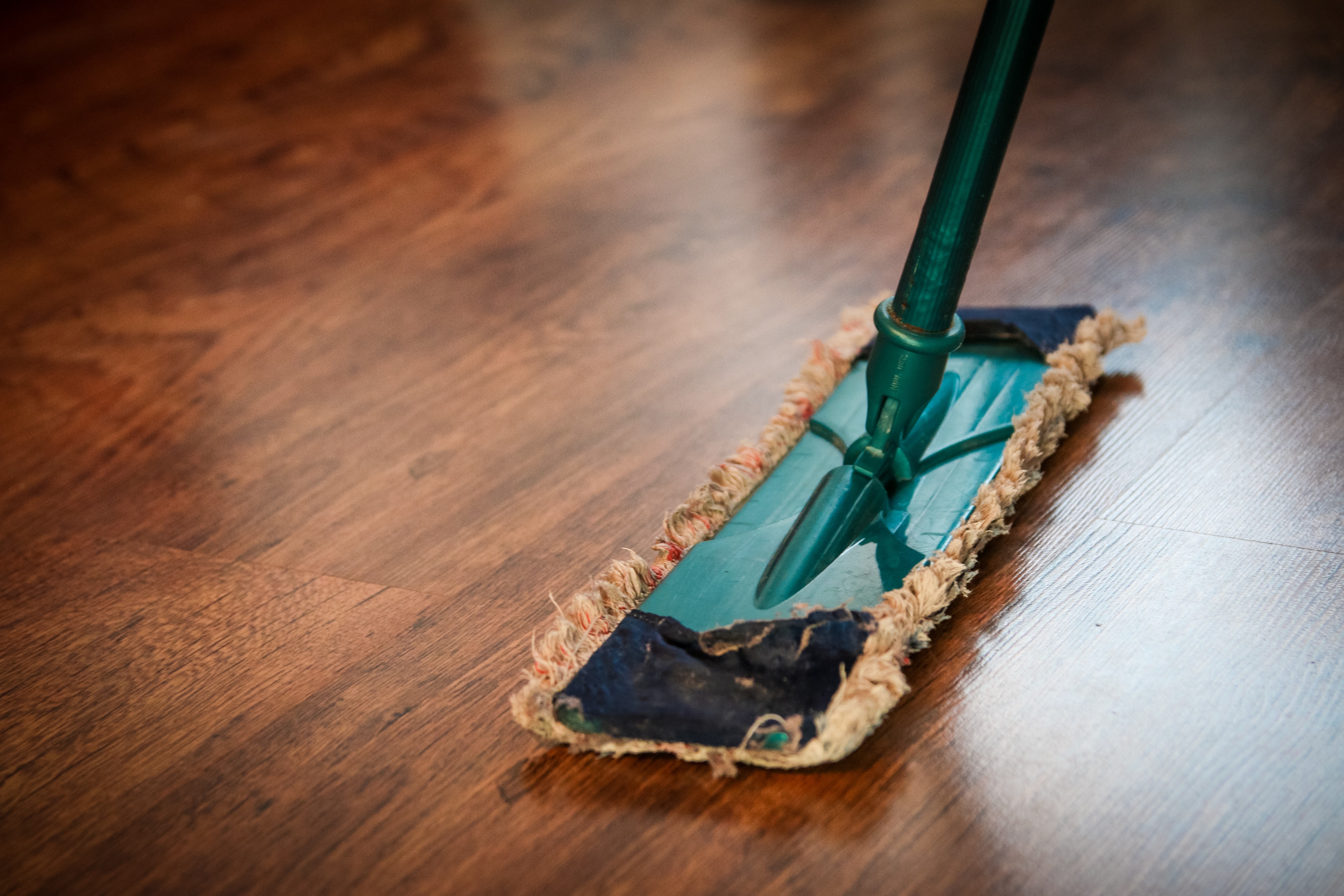 7 Essential Carpet Cleaning Tools Every Professional Must Have - Workiz