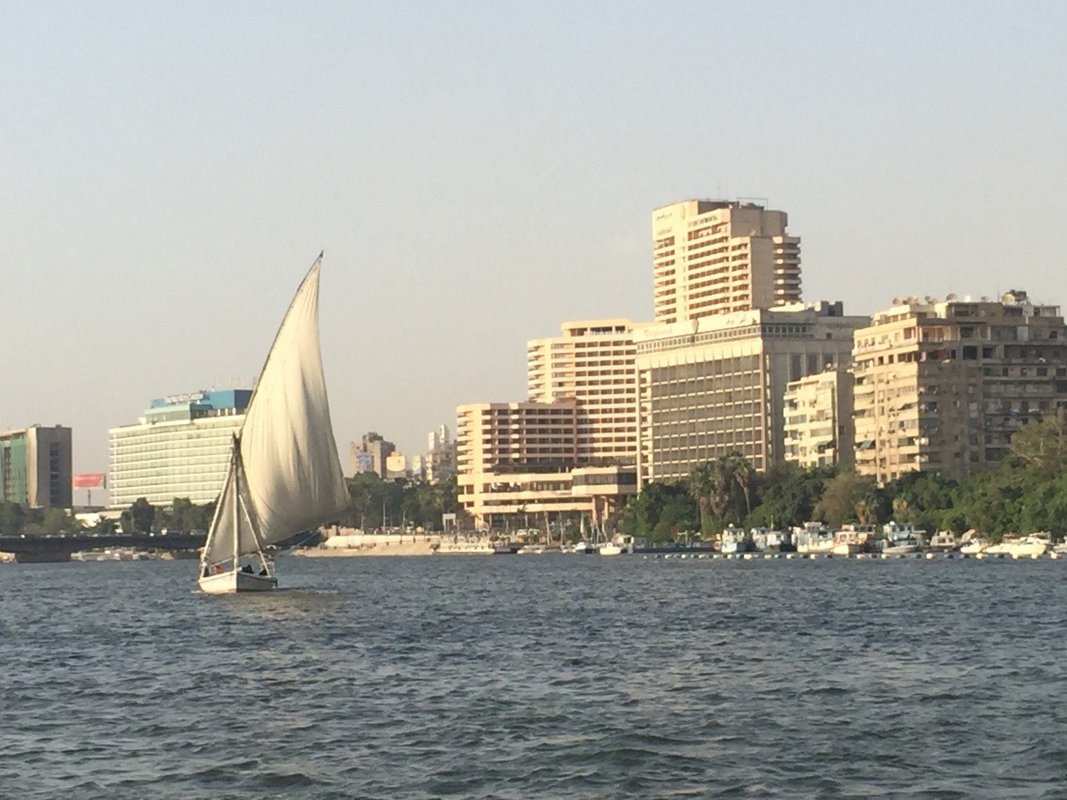 Cairo_2.jpg