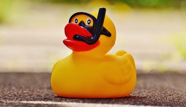 rubber-duck-1361280_640.jpg