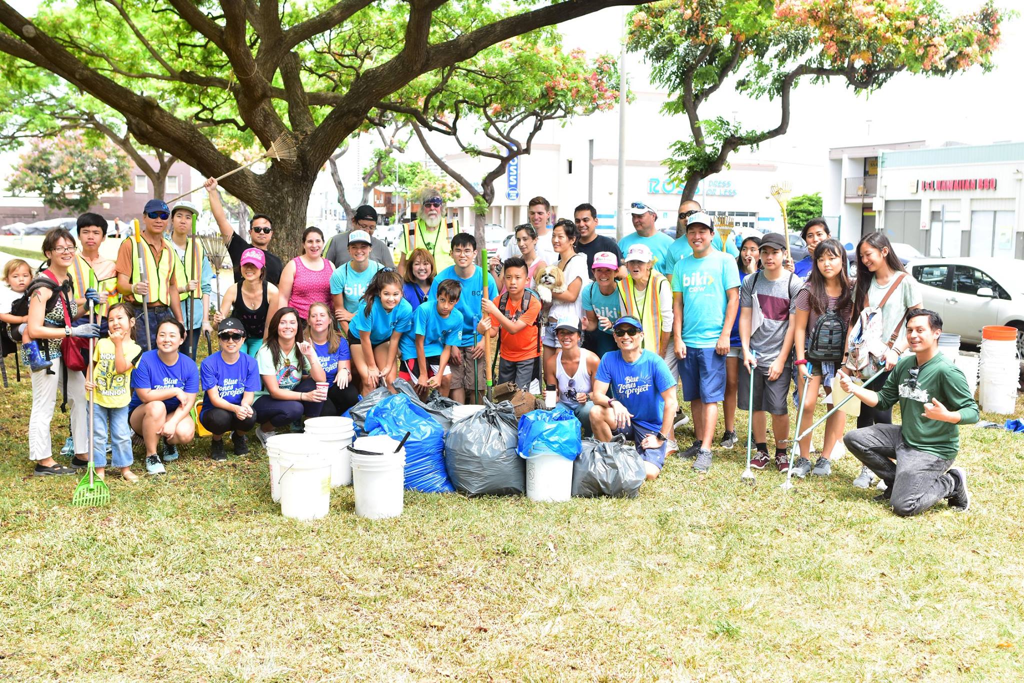 Old Stadium Park Clean-up