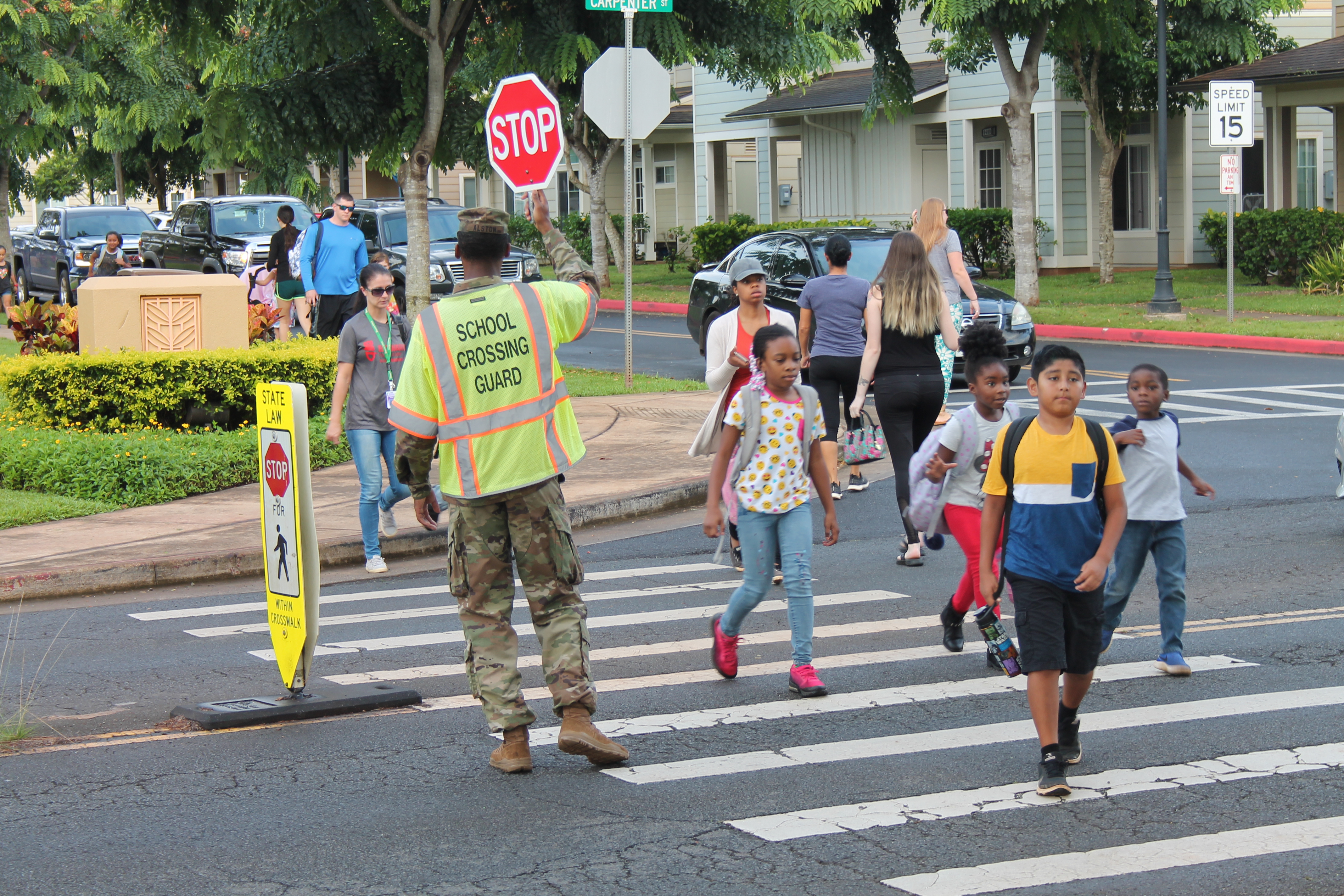 44400051554_015f49946d_o