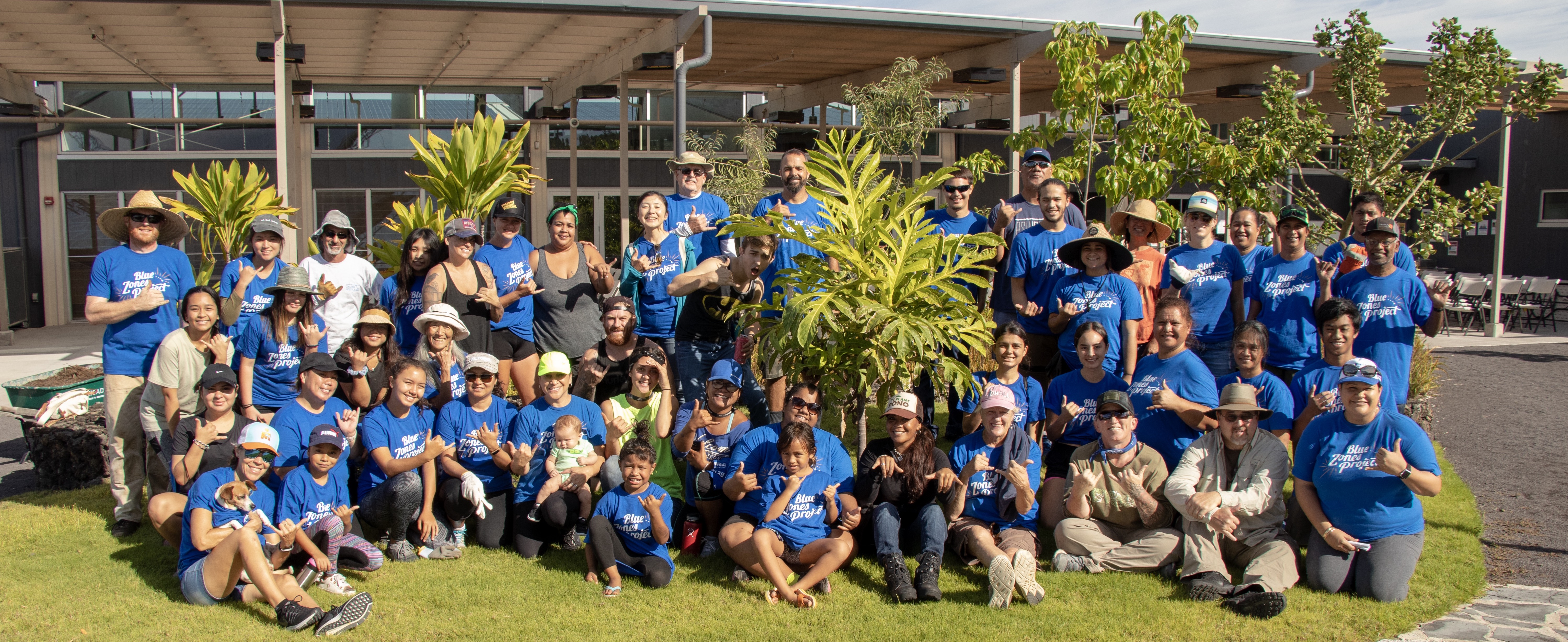 45805211452_42ede8917b_o