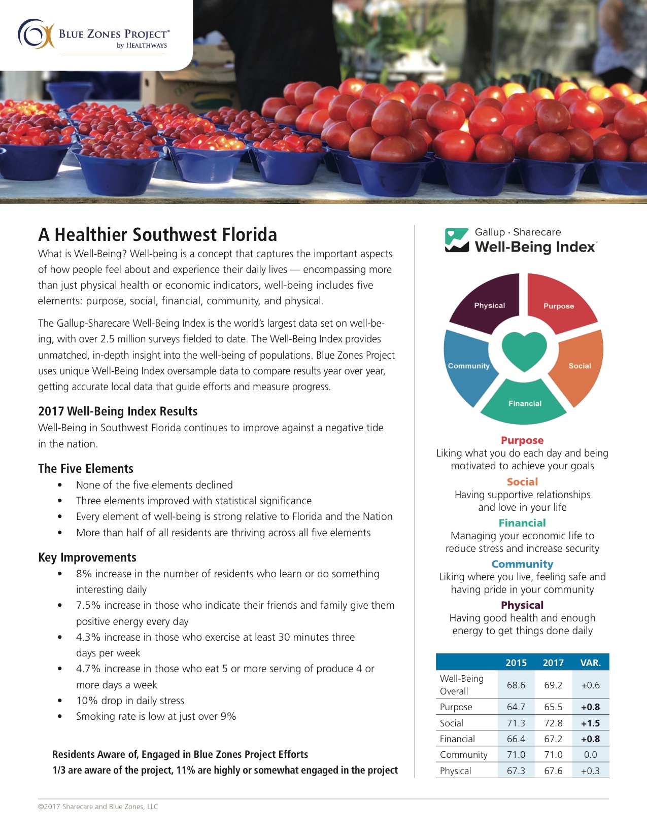 SWFL WBI Report_2017.jpg