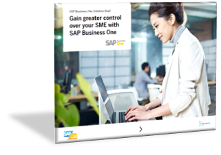 Professional Service Brochure 2020 for SAP Business One