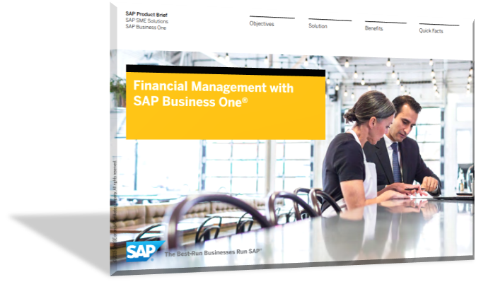 financial mangement with sap business one
