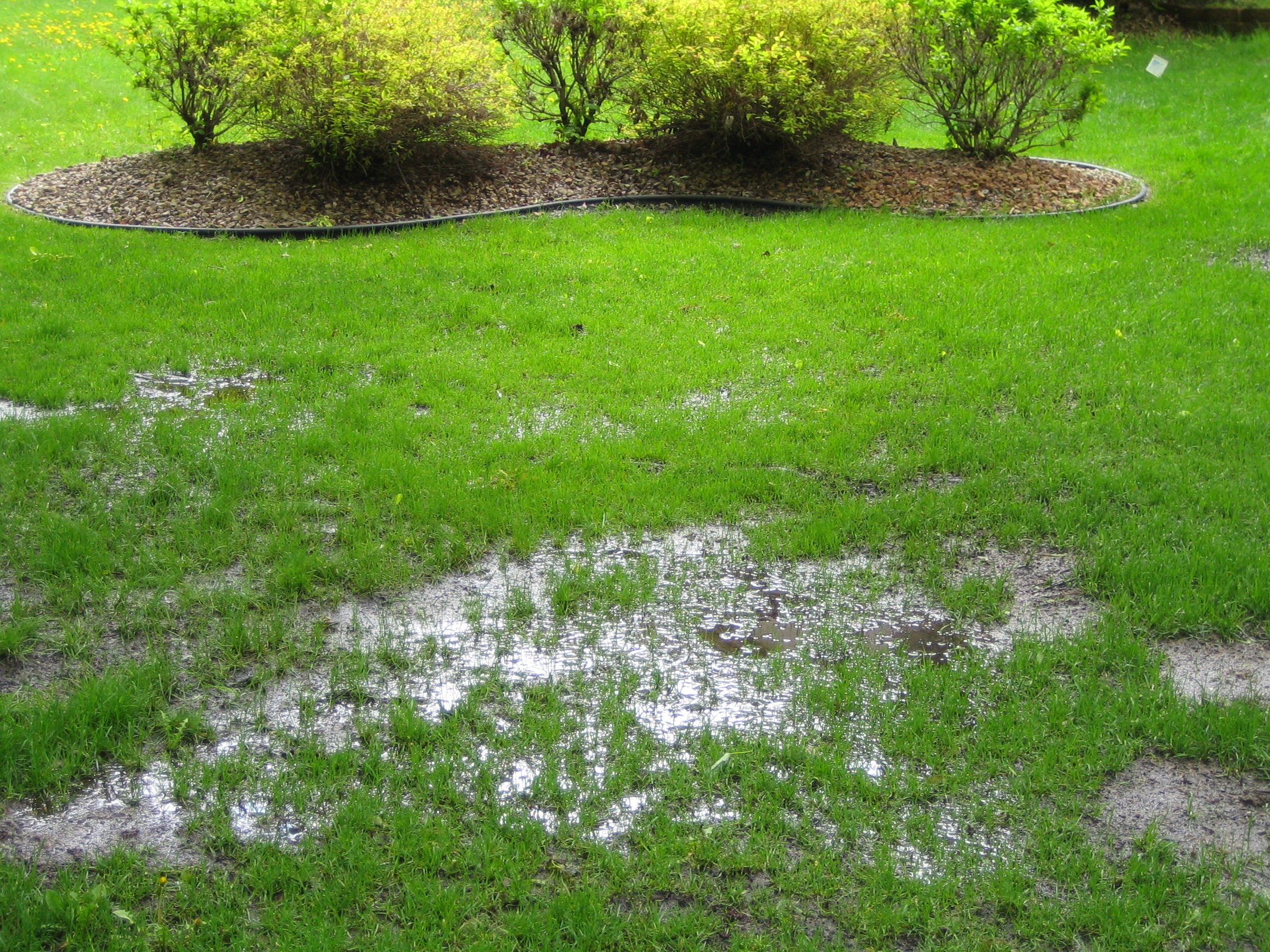 can-rain-cause-a-septic-backup-or-septic-drainfield-failure-lyttle