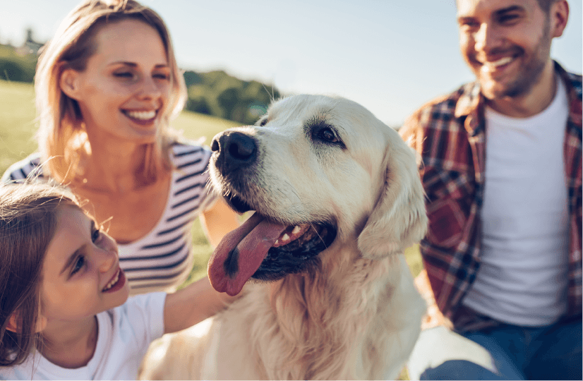 Credit Union Personal Loans And Unsecured Personal Loans From