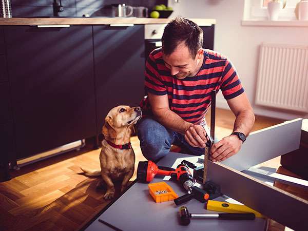 man and dog constructing cabinets