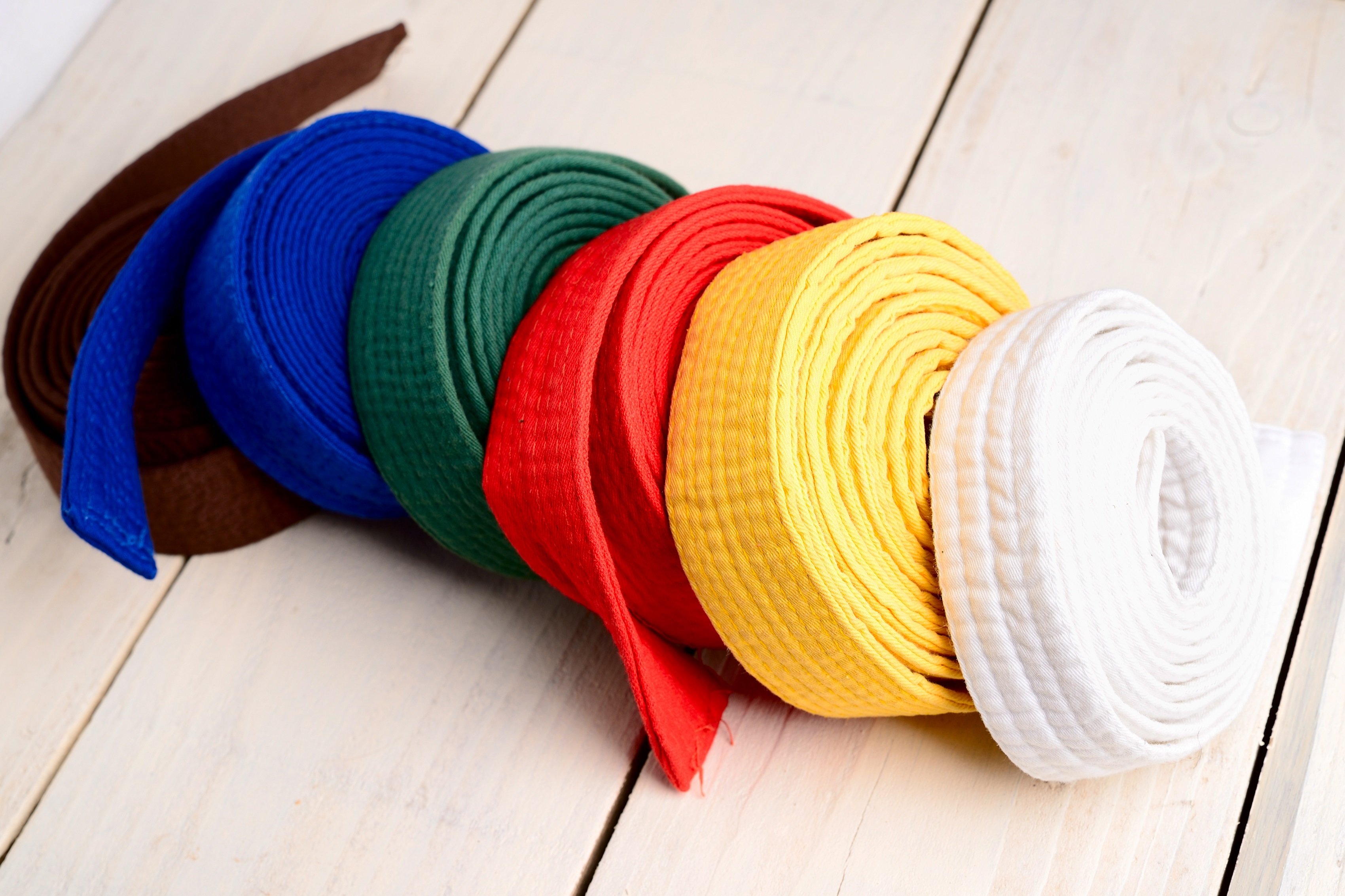 karate belts colours in order