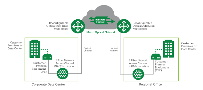 metro optical network drawing-1
