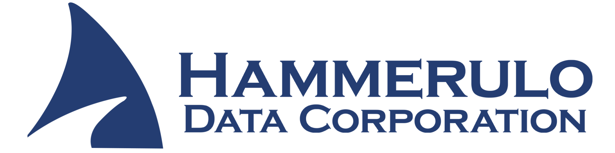 Hammerulo Data - logo