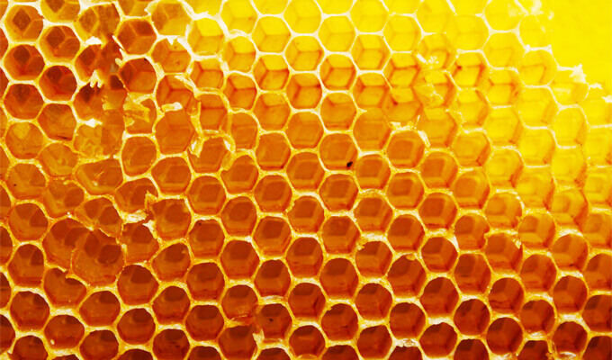 honeycomb (1) (1)