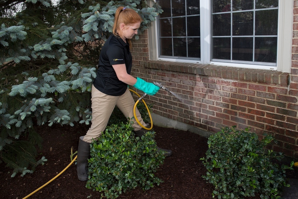 Empower yourself: The self-care benefits of DIY pest control vs.  professional services – Dr. Killigan's